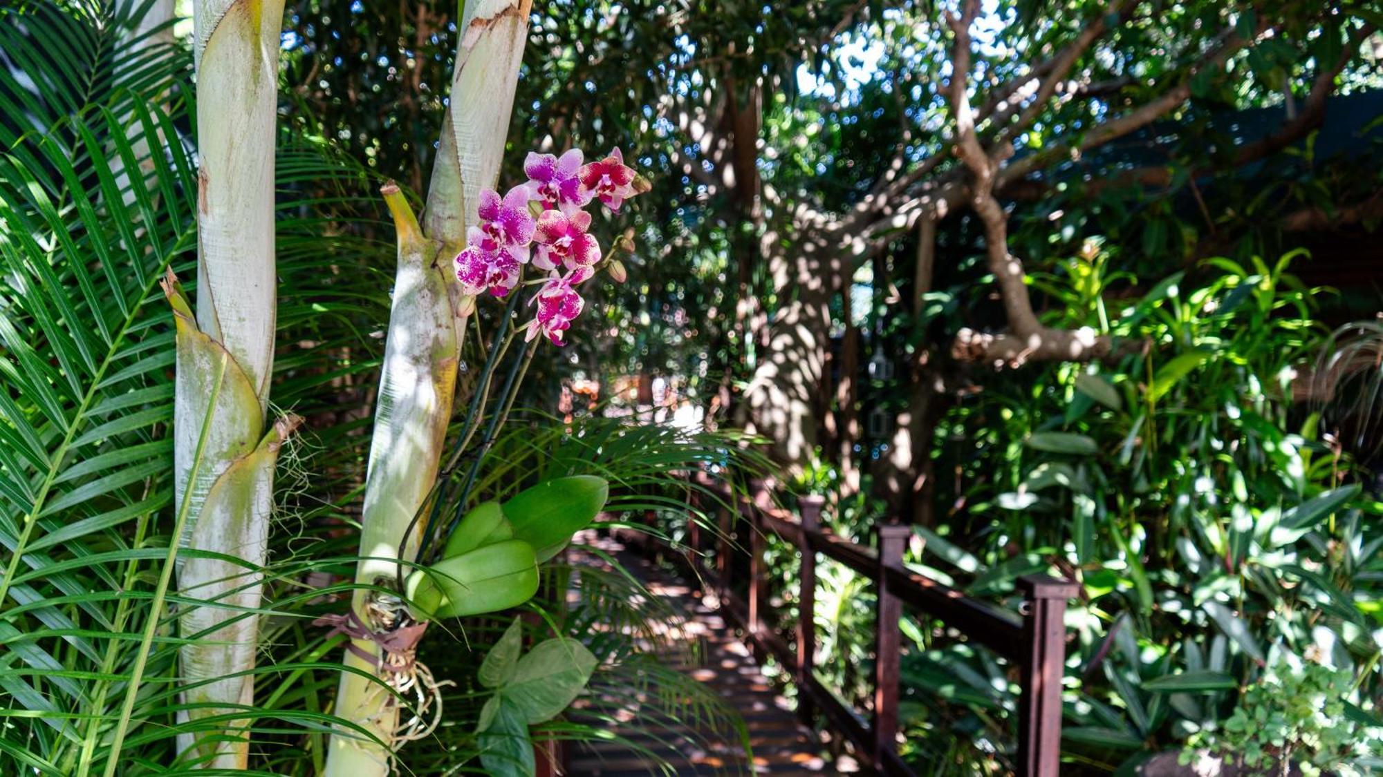 Luxury Tented Village @ Urban Glamping St. Lucia Exterior photo